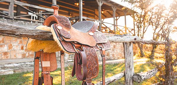 Molly's Saddle Giveaway